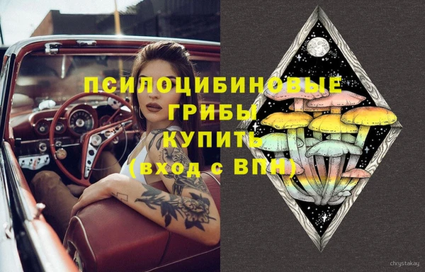a pvp Алексин